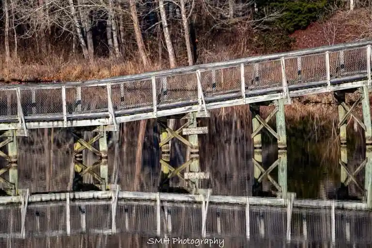A wooden pedestrian bridge with chain-link railings spans a calm body of water, its reflection mirrored perfectly below. A…