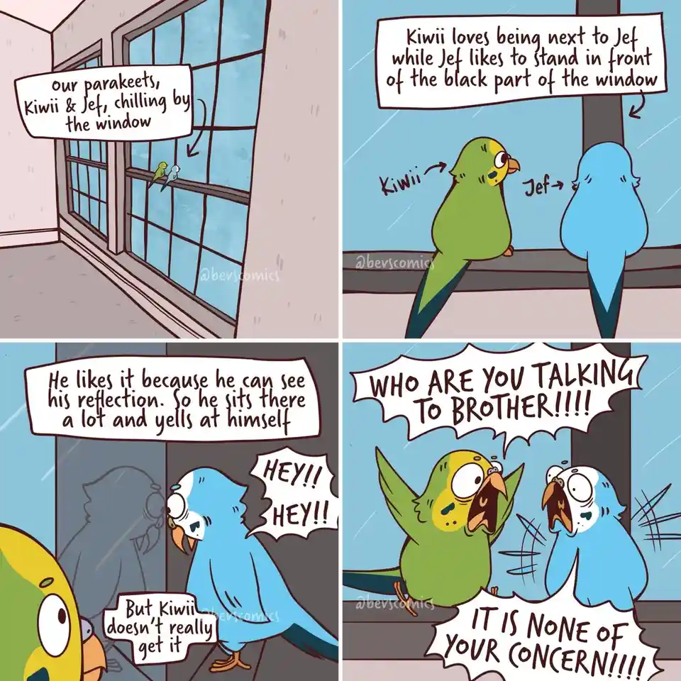 Understanding Bird Logic: A Quirky Perspective