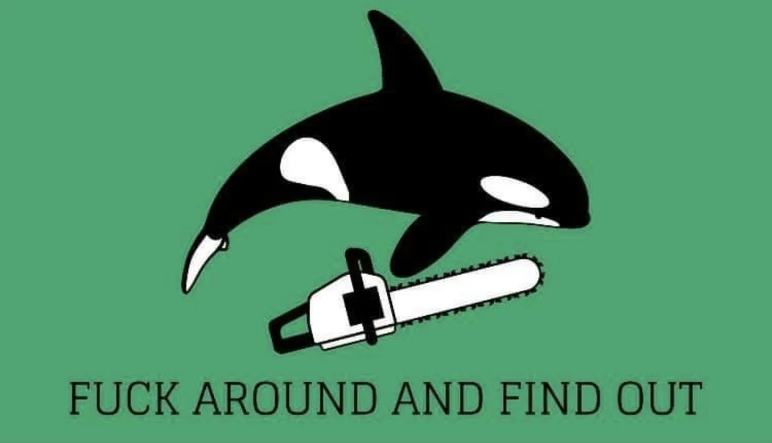 A black and white cartoon orca jumps over a white chainsaw on a solid green background. Below the image, the phrase 'FUCK…