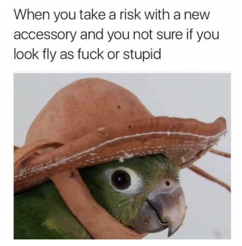A green parrot wearing a brown, wide-brimmed hat that looks like a sombrero, with the hat covering most of its head and the…