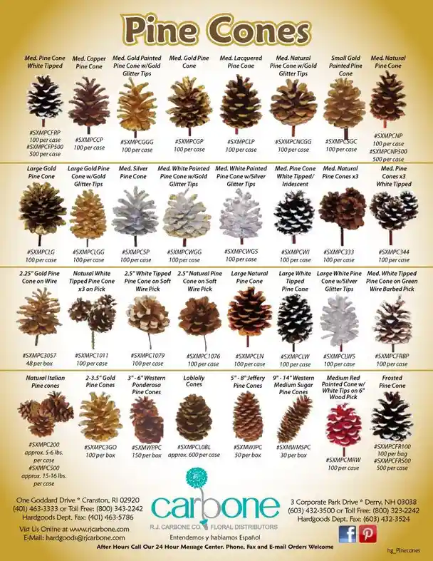 A catalog page from R.J. Carbone Co. displays dozens of pine cones arranged in rows, each labeled with a unique product…