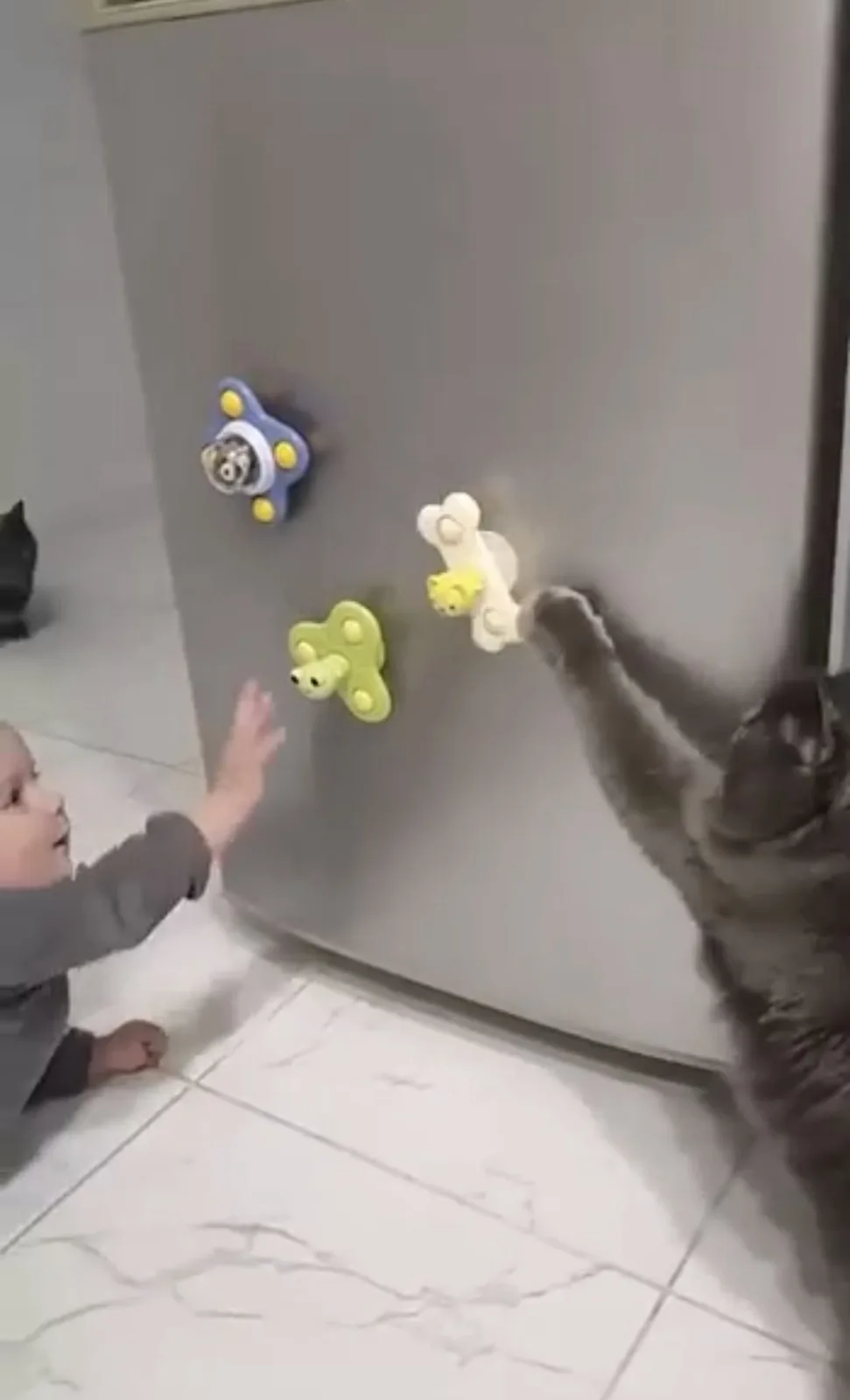 A toddler and a grey cat are both reaching for colorful, animal-shaped fridge magnets stuck to a stainless steel…
