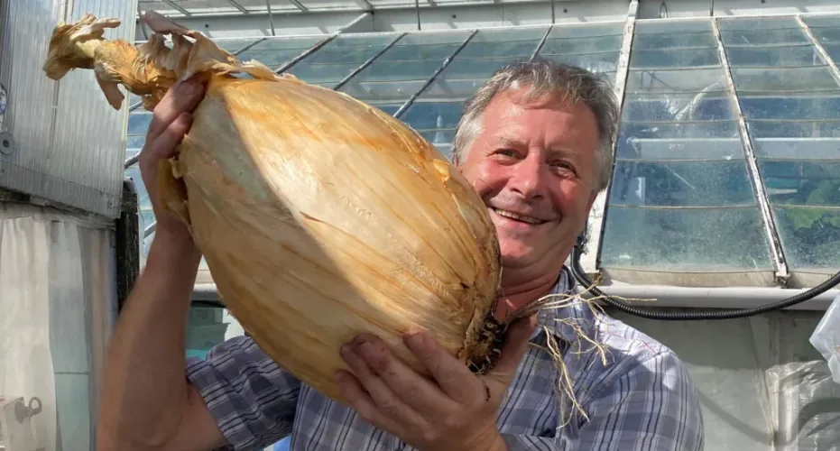 A smiling man in a plaid shirt holds up an enormous, pale yellow onion with visible roots and dried outer layers, standing…