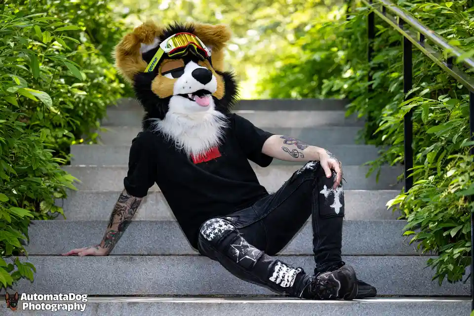 Daily Dose of Furry Photography - Day 455