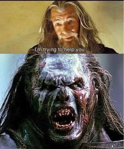 The image is a two-panel meme. The top panel shows a close-up of Gandalf the Grey from 'The Lord of the Rings' with a calm…