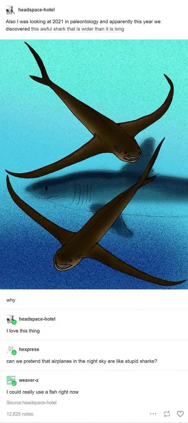 The image shows two illustrations of a wide-bodied, long-finned shark-like creature swimming in blue water, with a shadow of…