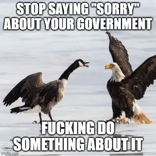 Two birds, a goose and a bald eagle, are standing on ice and appear to be confronting each other. The goose is on the left…