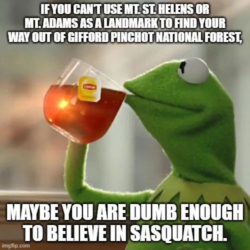 A green frog puppet, Kermit the Frog, is shown sipping tea from a clear glass mug with a Lipton tea bag visible. The image…
