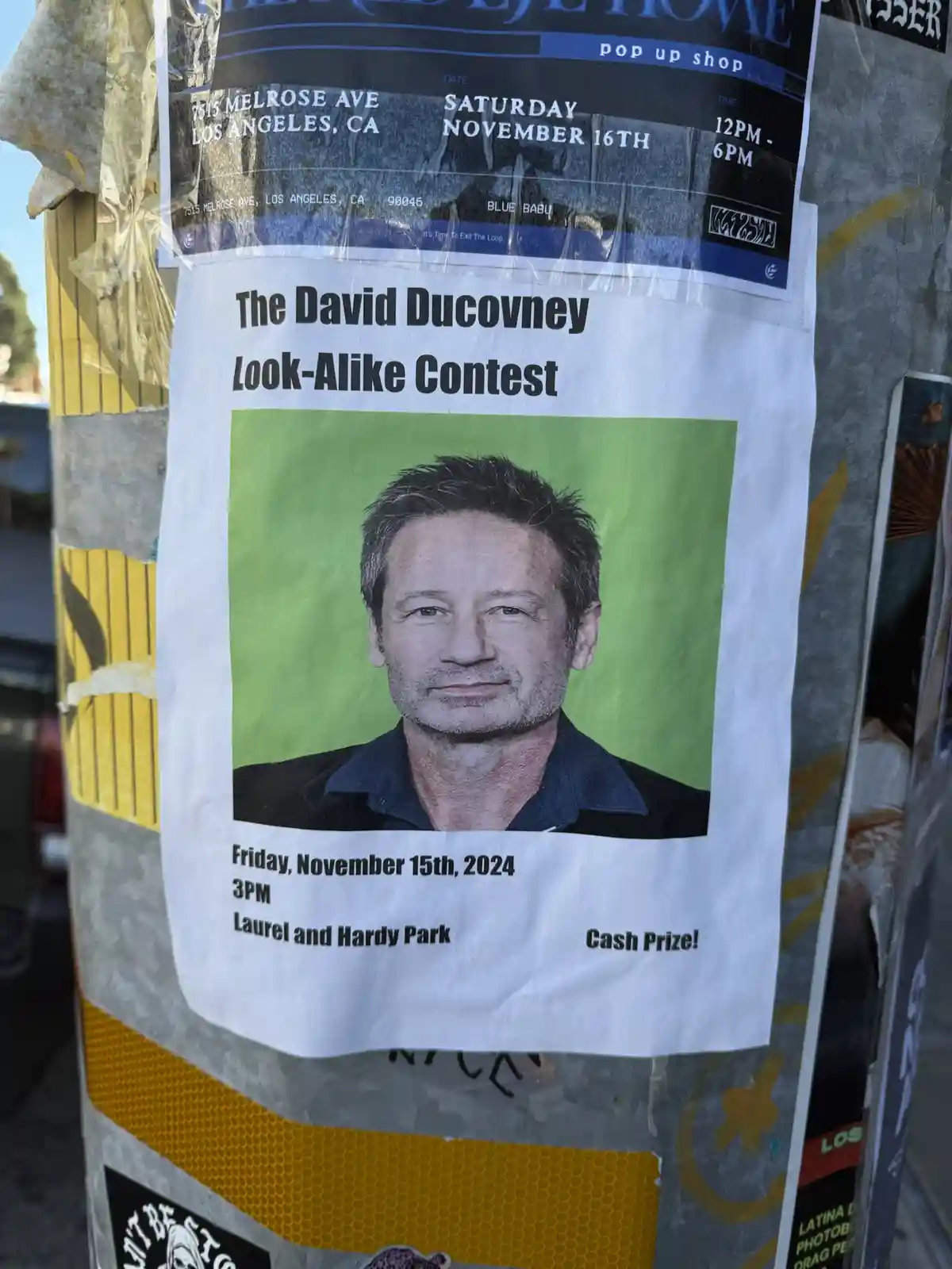 A flyer taped to a pole announces 'The David Ducovney Look-Alike Contest' with a photo of a man against a green background…