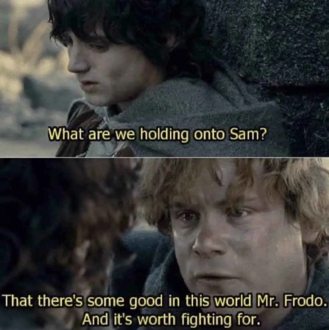The image is a two-panel meme from 'The Lord of the Rings' featuring Frodo and Sam. In the top panel, Frodo looks weary and…