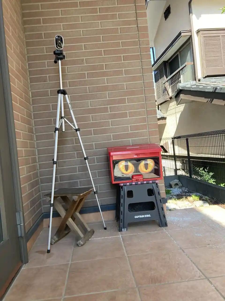 An outdoor scene shows a camera mounted on a tripod aimed at a red plastic box with large cartoonish cat eyes stuck on it…