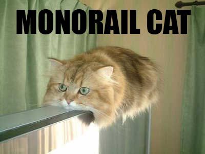 A fluffy, long-haired orange tabby cat is perched on a narrow metal rail, looking out a window with a serious expression…