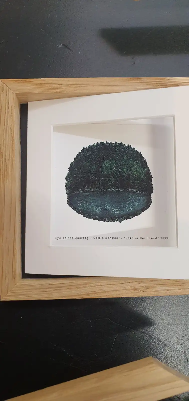 A framed art print shows a circular, top-down view of a forested lake, with dense green trees surrounding dark water. The…
