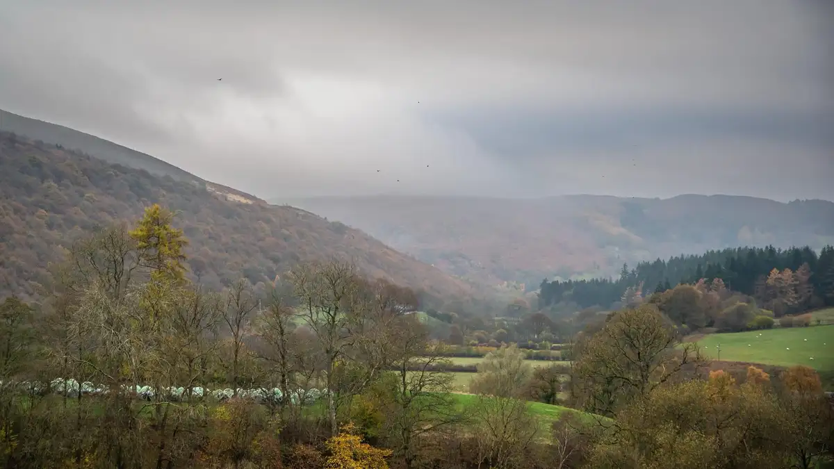 A scenic, misty landscape of rolling hills, autumn-colored trees, and green fields under an overcast sky, with small white…