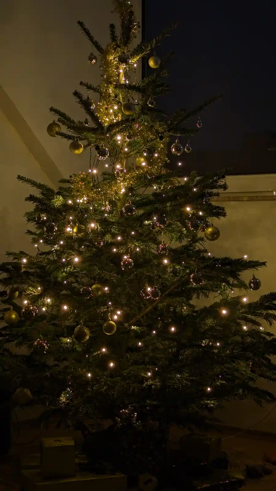 Wishing You a Merry Christmas!