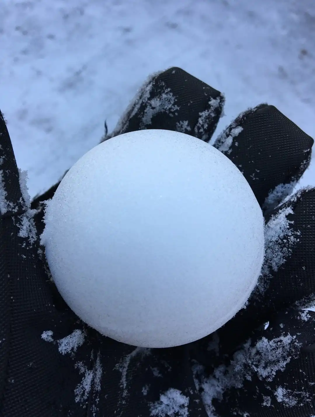 A close-up photo shows a gloved hand holding a perfectly round, smooth snowball against a snowy background. The black…