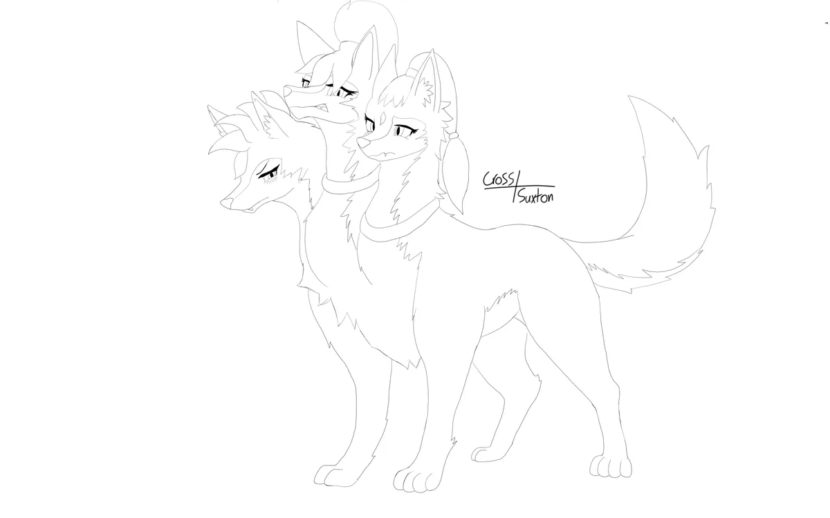 A black-and-white line art drawing of a single canine body with three distinct fox-like heads, each with a different…