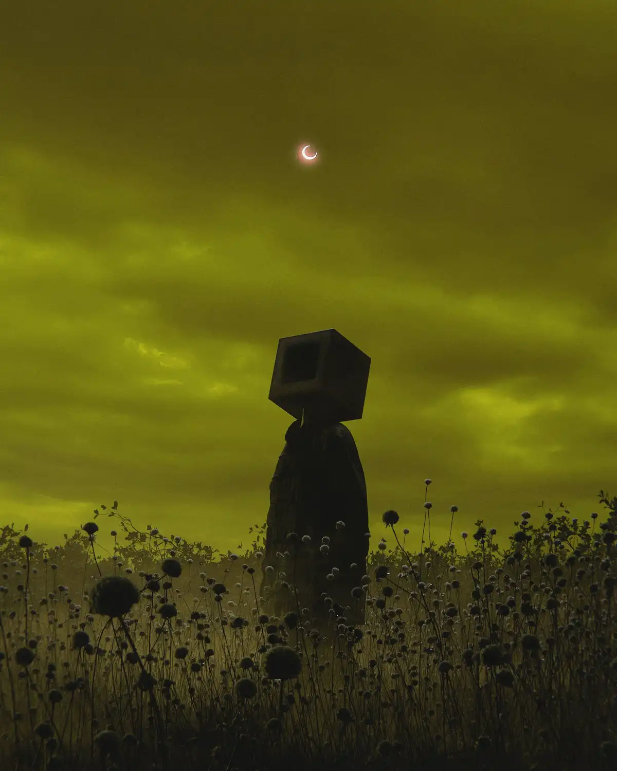 A silhouette of a humanoid figure with a square monitor for a head stands in a field of tall, dark plants under a…