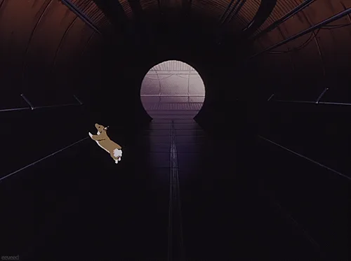 Meet the Data Dog: Your Tech Companion