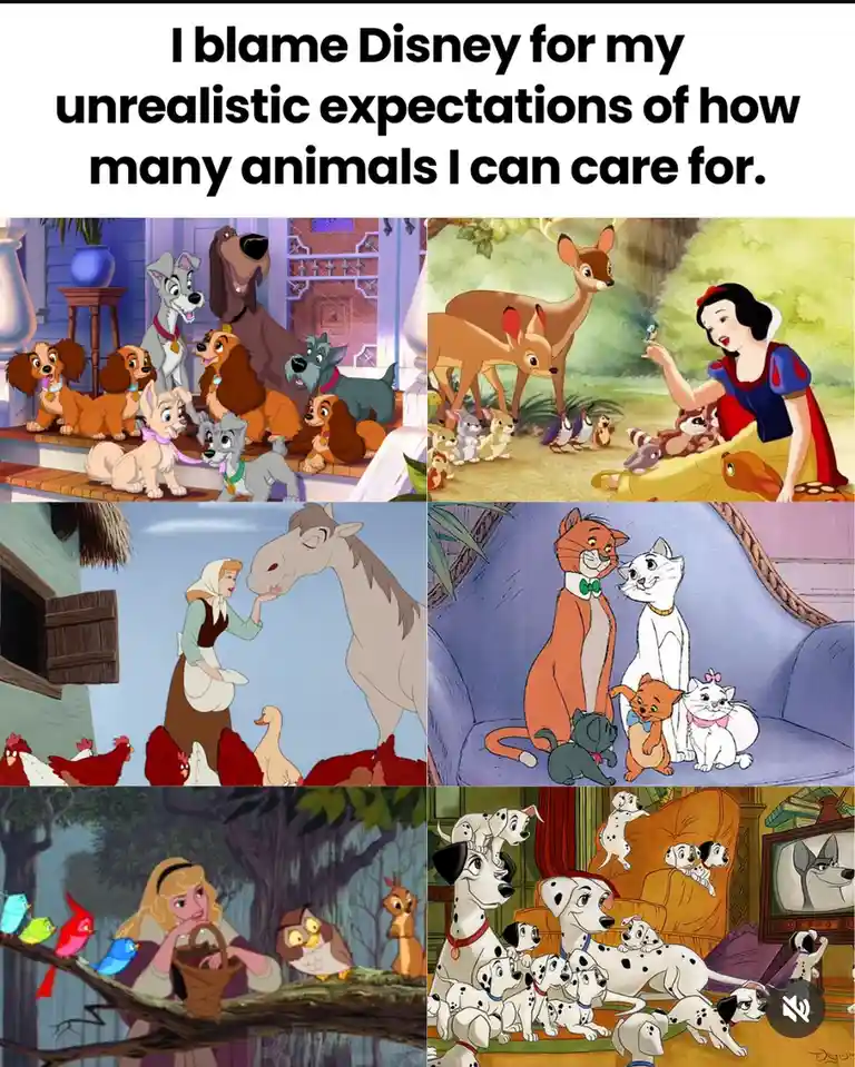 A collage of six Disney animated scenes showing characters surrounded by large numbers of animals: Lady and the Tramp's…