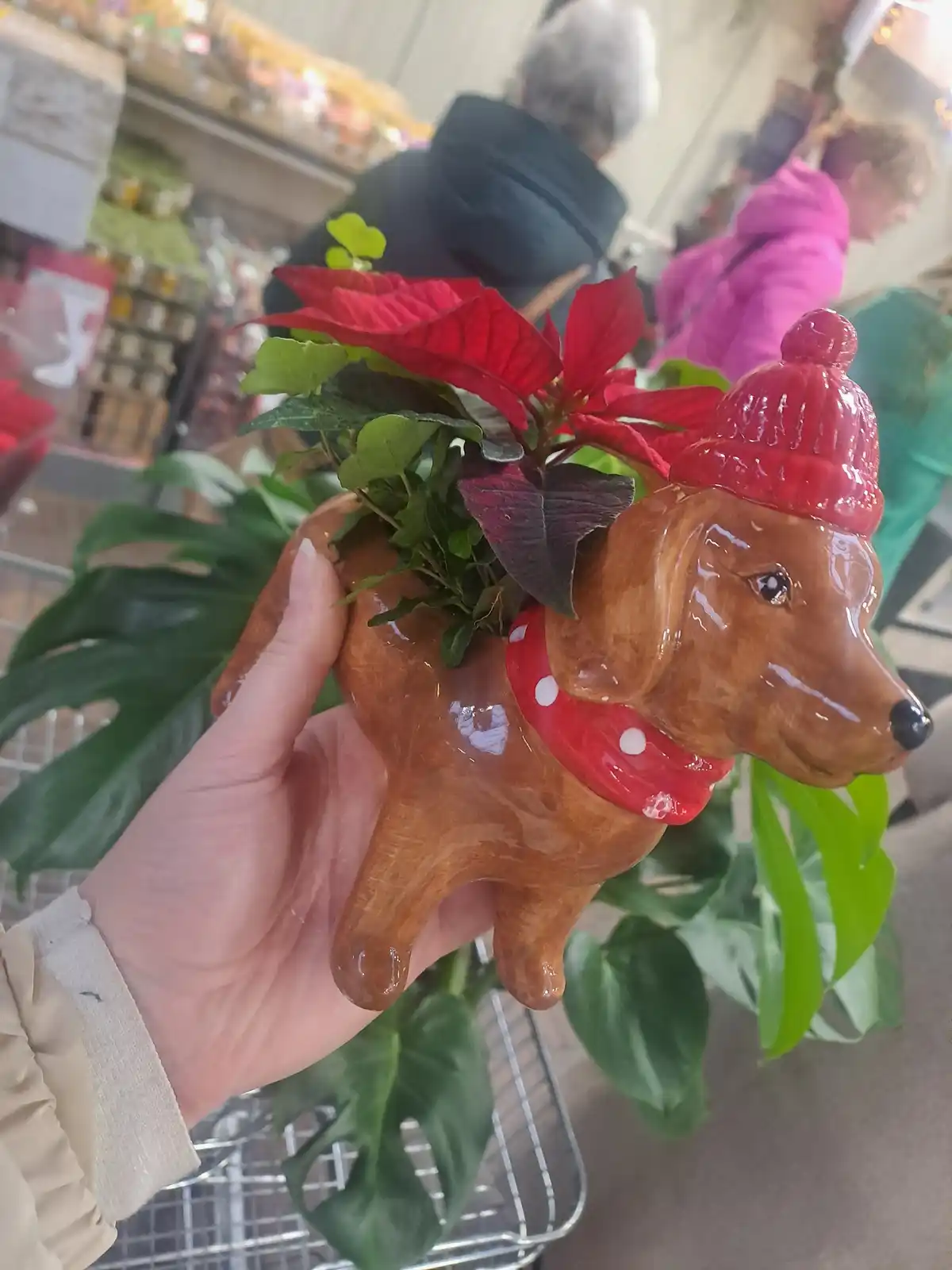 A hand holds a ceramic planter shaped like a brown dachshund wearing a red knit hat and a red polka-dot scarf. The planter…