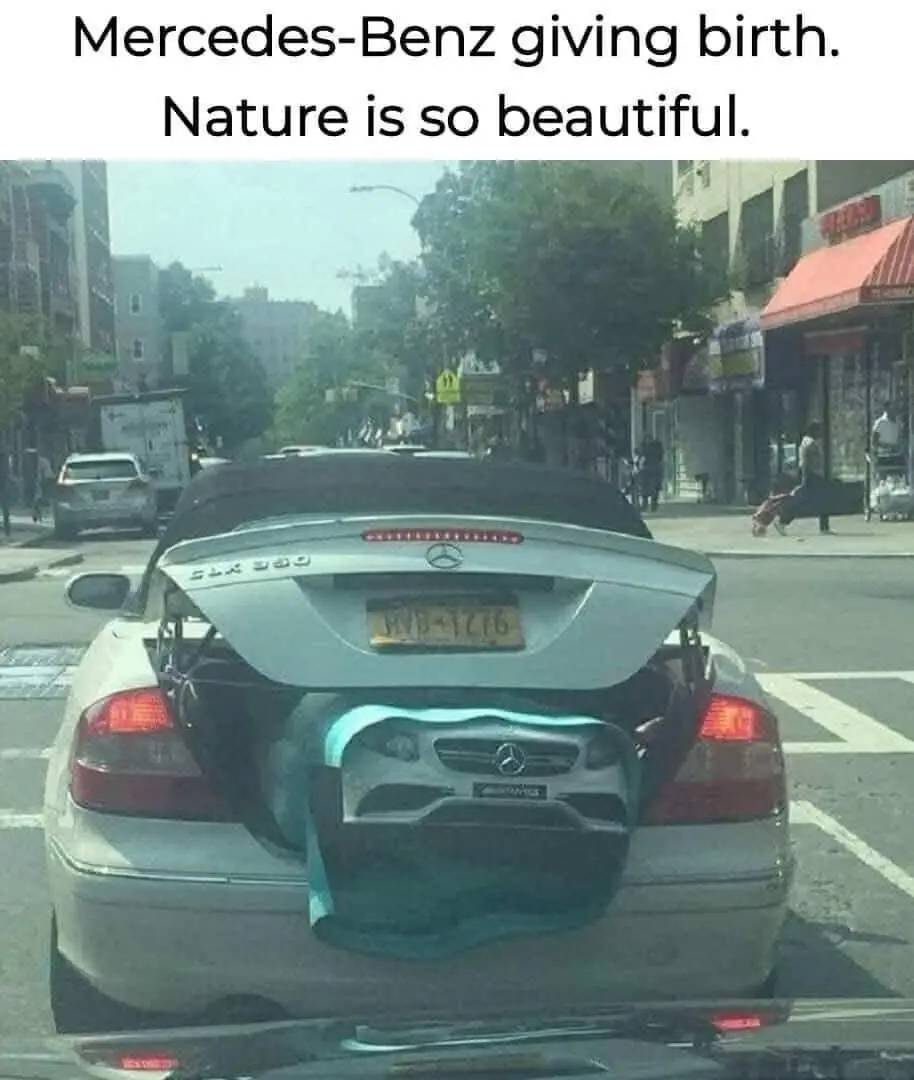 So Adorable!