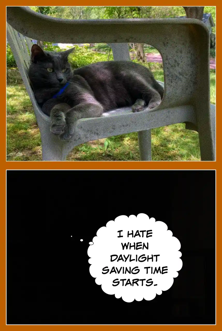 A gray cat lounges on a plastic outdoor chair in a grassy area, looking relaxed. Below, a black background features a white…