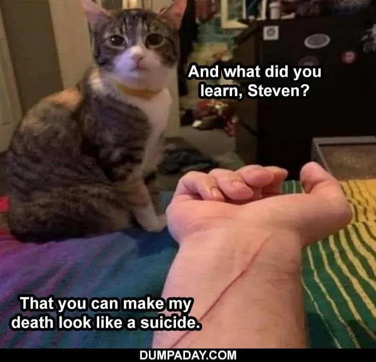 A tabby cat with wide, serious eyes stares at a human hand with a visible self-inflicted cut on the wrist, implying the cat…