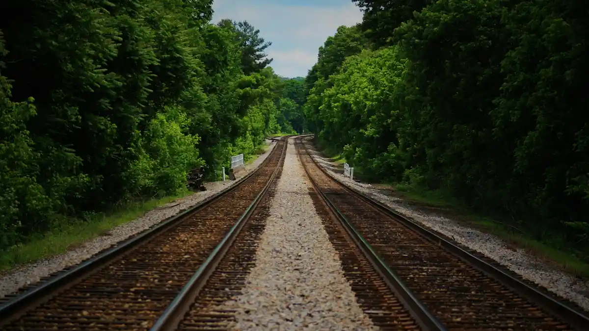 Endless rows of rust-hued tracks stretch into the distance, flanked by a lush emerald canopy that seems to swallow the…