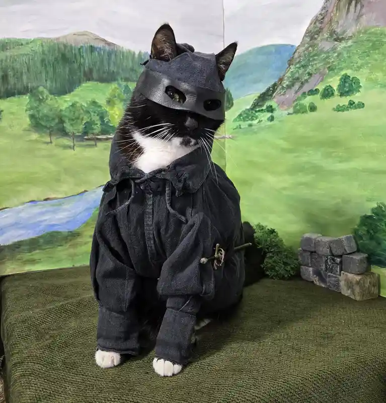A black and white cat is dressed in a full black ninja outfit, including a hood and a leather eye mask, sitting on a green…