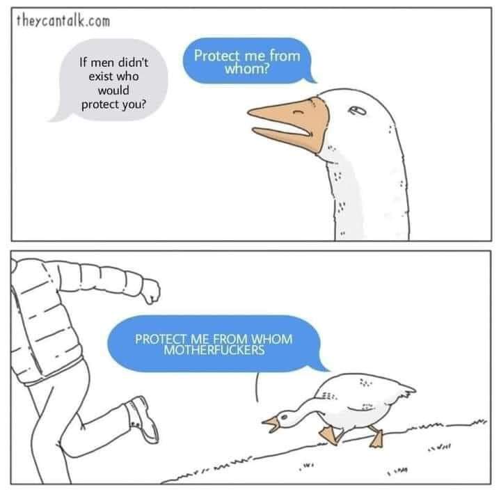 A two-panel comic shows a goose asking, 'If men didn't exist who would protect you?' and then, in the second panel, the…