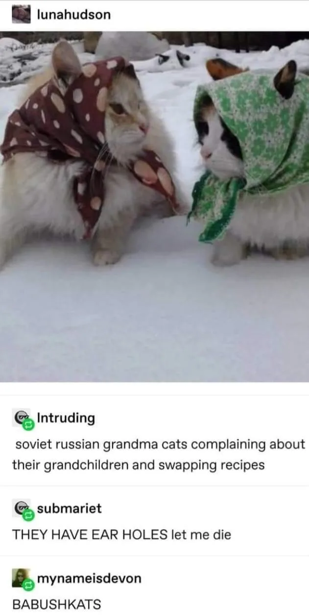 Two fluffy cats stand in snow, each wearing a patterned headscarf resembling traditional babushka head coverings. The cat on…