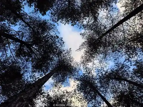 A Beautiful Day Under the Blue Sky