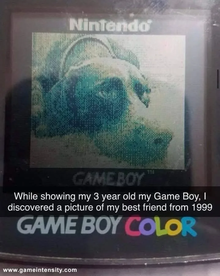 A close-up photo of a Game Boy Color screen displaying a pixelated, low-resolution image of a dog's face. The screen shows…