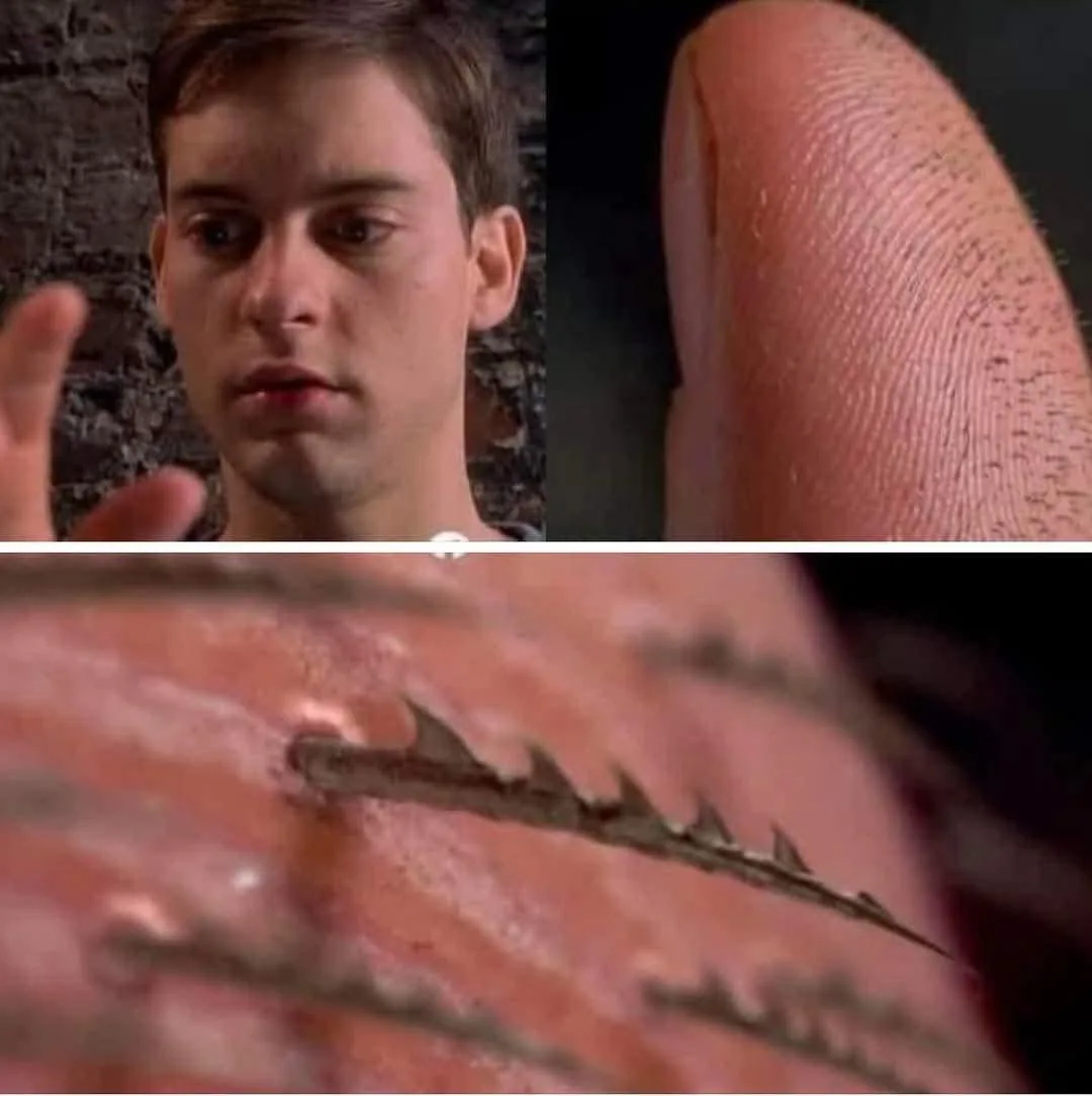 The image is a three-panel meme. Top left shows a man with a shocked expression. Top right is a close-up of a human…