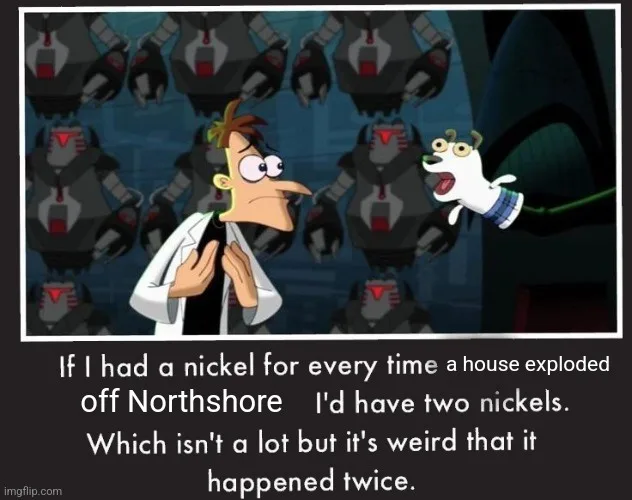 An image from the animated show 'Phineas and Ferb' shows the character Phineas looking shocked as his pet dog Perry the…