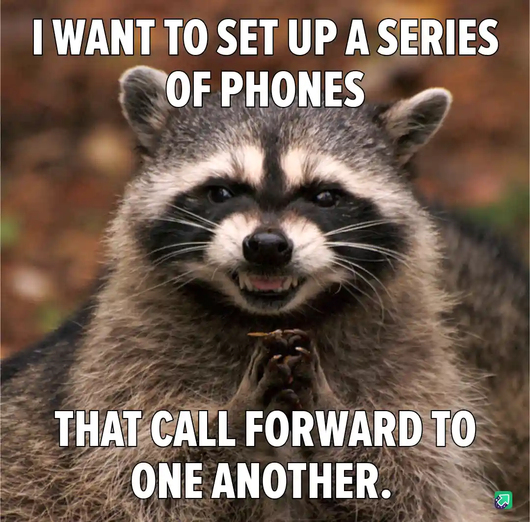A close-up photo of a raccoon with a pleading, earnest expression, its paws clasped together as if making a sincere request…