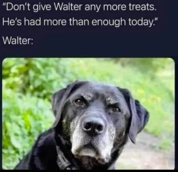 What Are You Even Talking About?